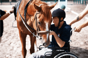 L’importanza dell’ippoterapia